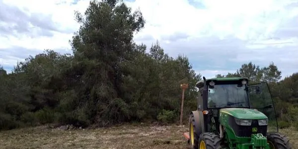 La muntanya de Sant Antoni d'Altafulla es posa a punt per prevenir els incendis