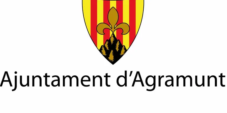 Ple municipal per aprovar les ordenances fiscals pel 2018