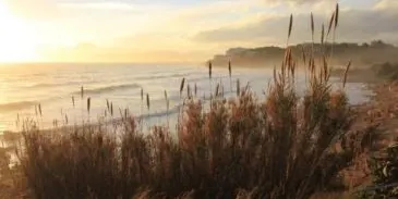 Obertes les inscripcions per a la caminada guiada nocturna pel litoral