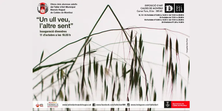 El Taller d'Art inaugurarà demà divendres l'exposició Un ull veu, l'altre sent