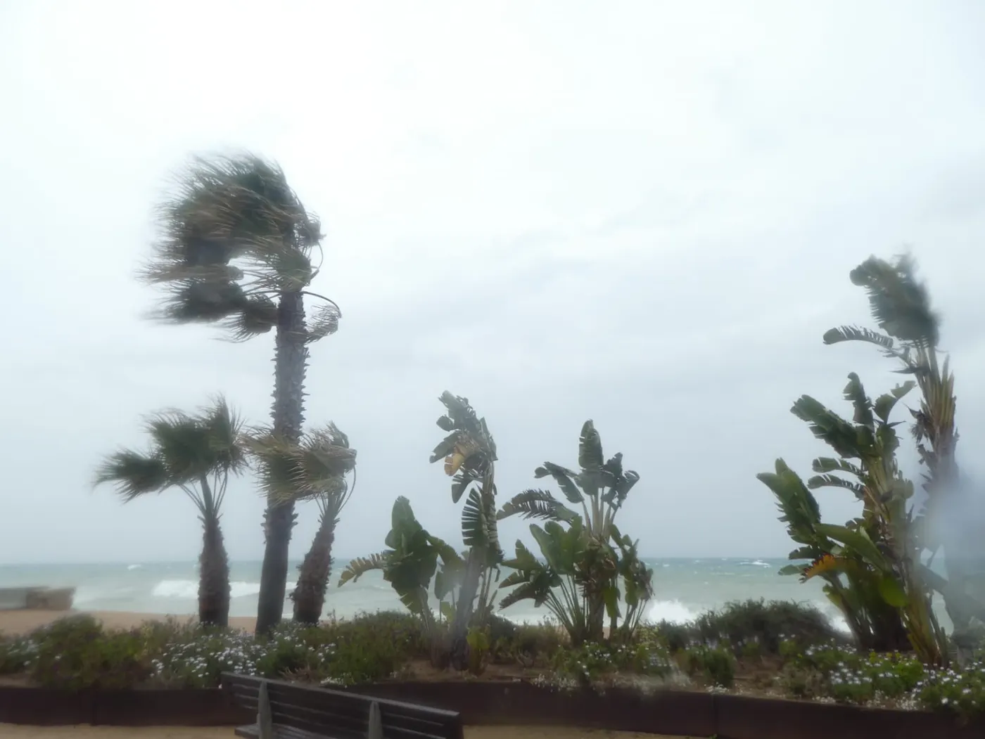 L'episodi de pluja de dissabte deixa 40l/m2 a Pineda