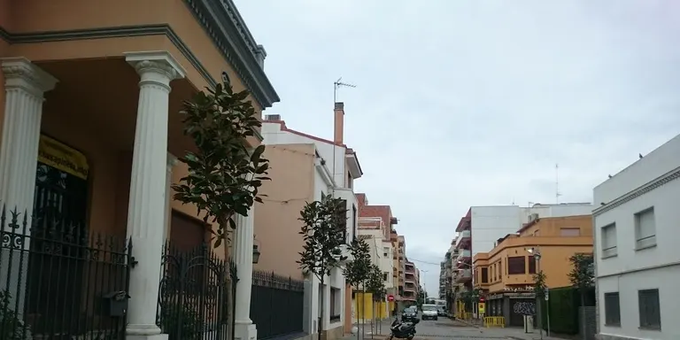 Es canvien les mèlies del Carrer Barcelona per magnòlies