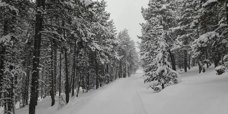 La Marxa Pirineu arriba a la 25a edició amb una neu excel·lent