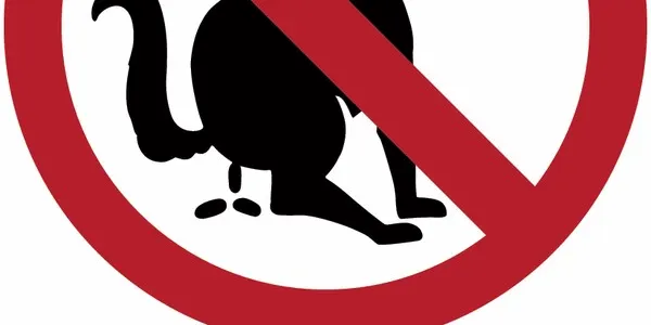 L'Ajuntament programa dues campanyes de tinença responsable d'animals de companyia
