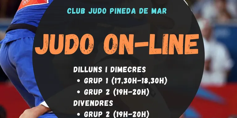El Club de Judo Pineda fa classes on-line de judo durant el juny i juliol