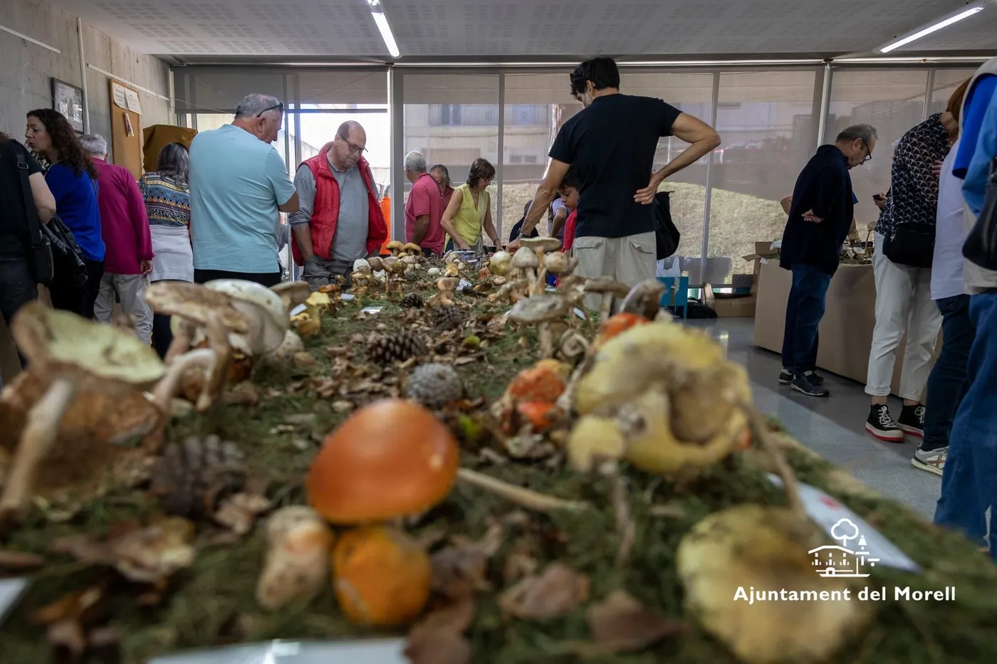 Centenars de bolets i una degustació única