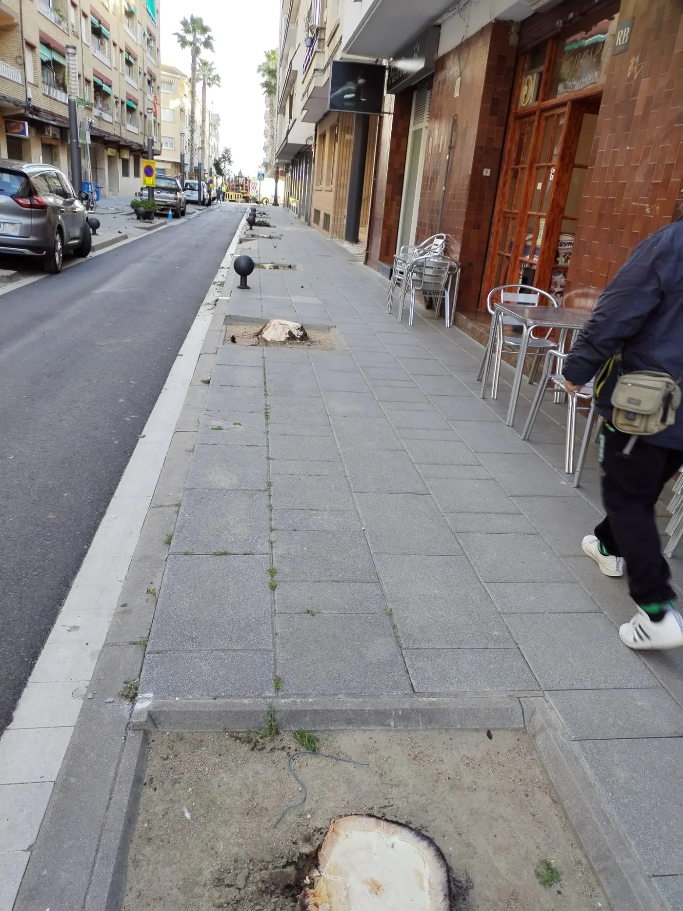 S'han tallat els arbres del c/Santiago Rusiñol per canviar-los per altres espècies vegetals