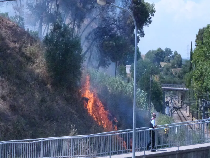 Un incendi crema uns 7.000 metres quadrats de vegetació a Can Fatjó