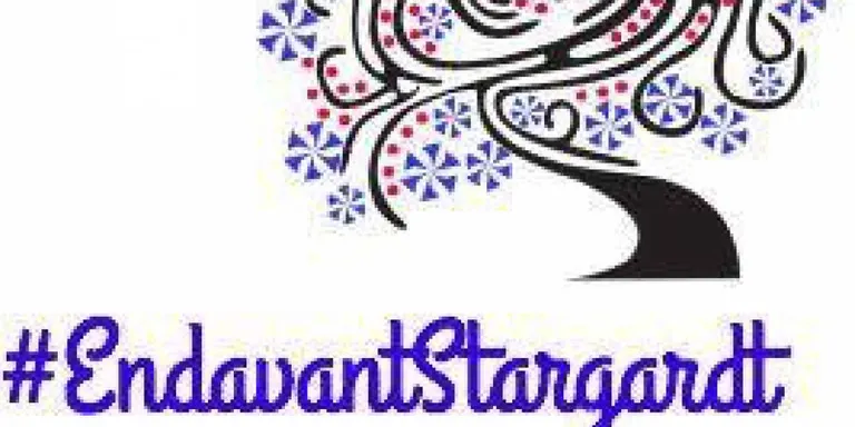 Aquesta tarda es presenta el projecte #EndavantStargardt