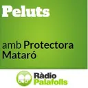 Peluts