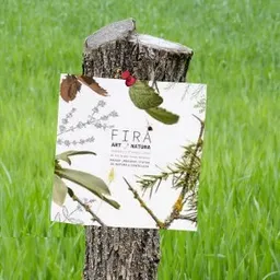 Especial- fira artnatura 17/04/22 - episode art