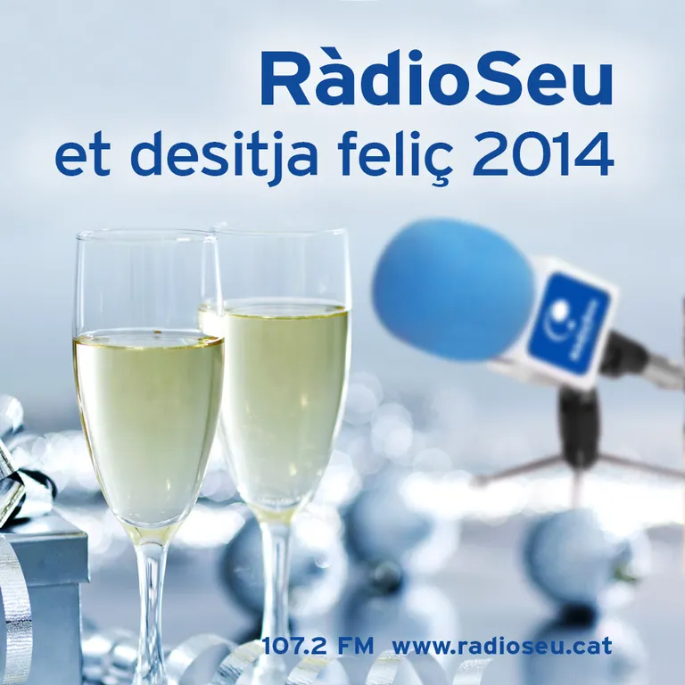 RàdioSeu emet '1 any i 1 hora', el resum informatiu del 2013