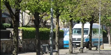 Tractament fitosanitari a la Seu per eliminar el pugó dels arbres
