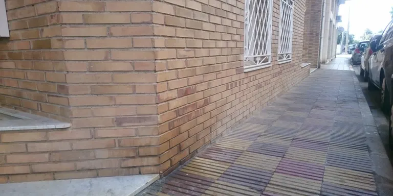 Per passejar el gos a Pineda caldrà portar una ampolla d'aigua per diluir els orins