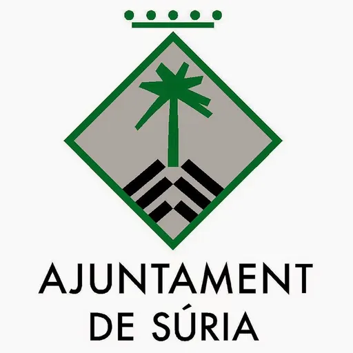 El Ple Municipal
