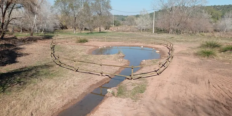 L'Associació Aurora torna a actuar a la Granja dels Frares amb la creació d'una bassa temporal