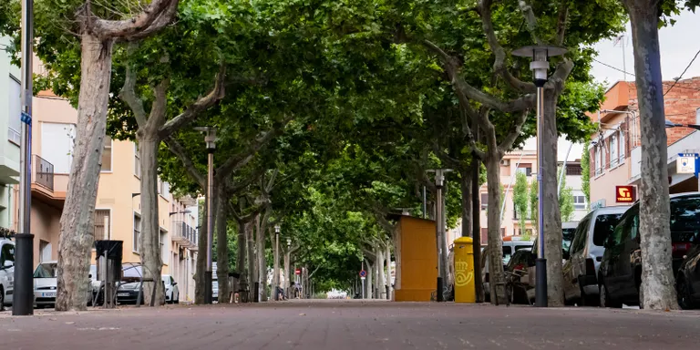 Els treballs de remodelació de la Rambla, a punt d'iniciar-se