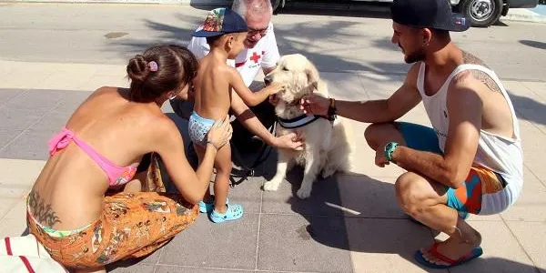 La unitat canina de recerca ERIE fa una demostració de la seva tasca a la platja Llarga de Roda de Berà