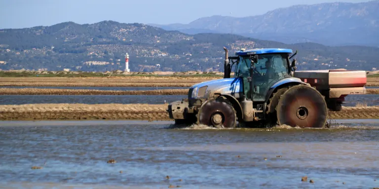 La CHE anuncia que mantindrà la meitat de la dotació d'aigua per als regants del delta de l'Ebre fins a finals de juliol