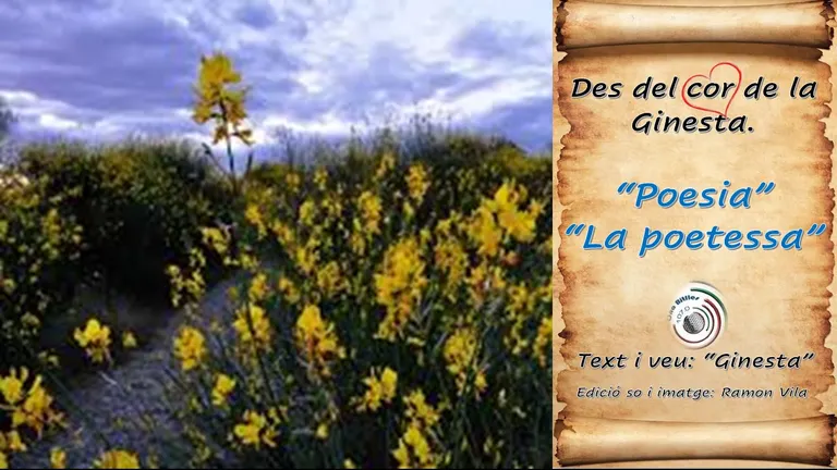 Des del cor de la “Ginesta”: “Poesia i Poetessa” - Felicitats!!! Dia Mundial de la Ràdio.