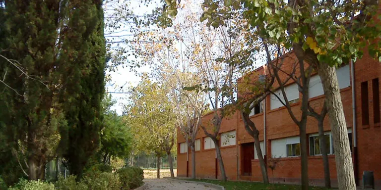 Ja es poden sol.licitar els ajuts per les beques menjador