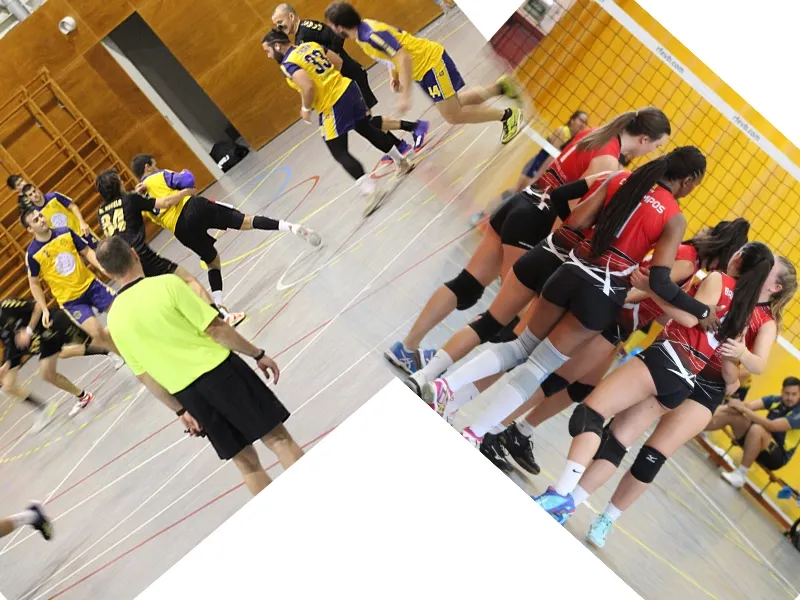 L'estrena del 2020 no va ser gaire positiva ni per a vòlei ni handbol / Fotomuntatge