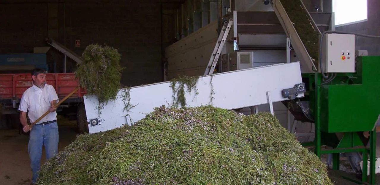 El CTFC elabora una base de dades de maquinària de plantes aromàtiques i medicinals