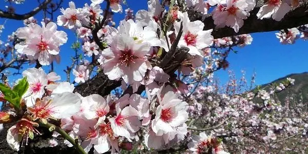 Arriba la primavera meteorològica amb temperatures d’hivern al Baix Gaià
