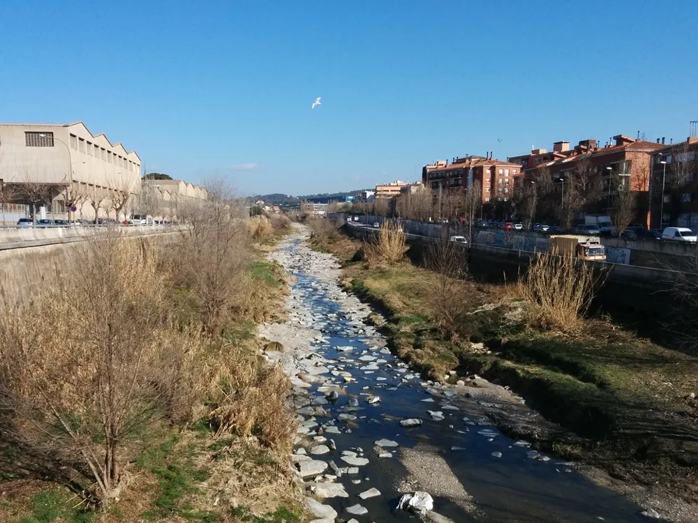 Aspecte d'un dels trams de la riera a millorar