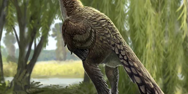 Descrita una nova espècie de dinosaure carnívor dels Pirineus, el Tamarro insperatus
