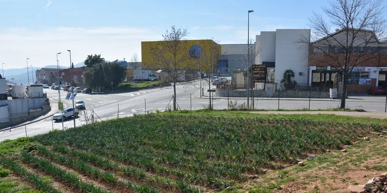 El Dia de la Terra comptarà amb més de 35 activitats centrades en l'horticultura
