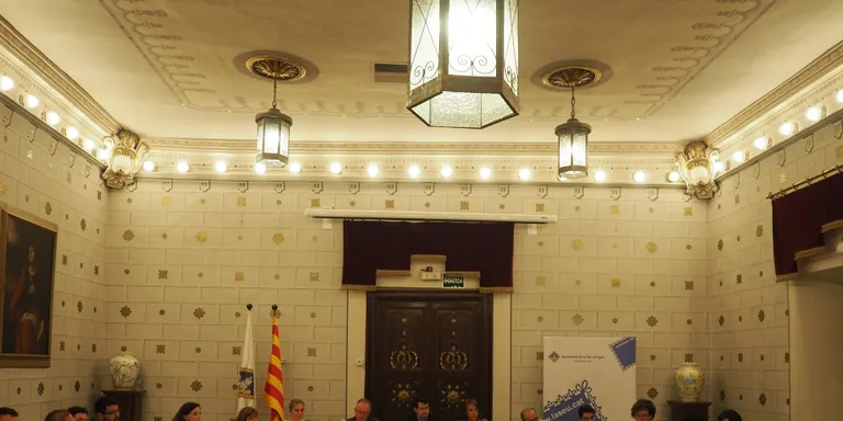 El ple de la Seu dóna el vistiplau al compte general del 2018
