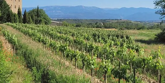 El Santuari del Miracle acull aquesta setmana una jornada de capacitació d'entitats ambientals