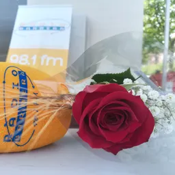 Sant Jordi 2023