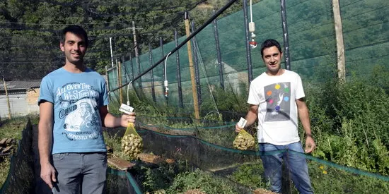 Rialp Treu Banya ja comercialitza els primers caragols criats al Pallars Sobirà