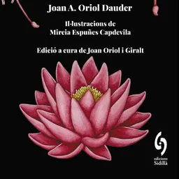 Entrevista a Joan Oriol Giralt - episode art