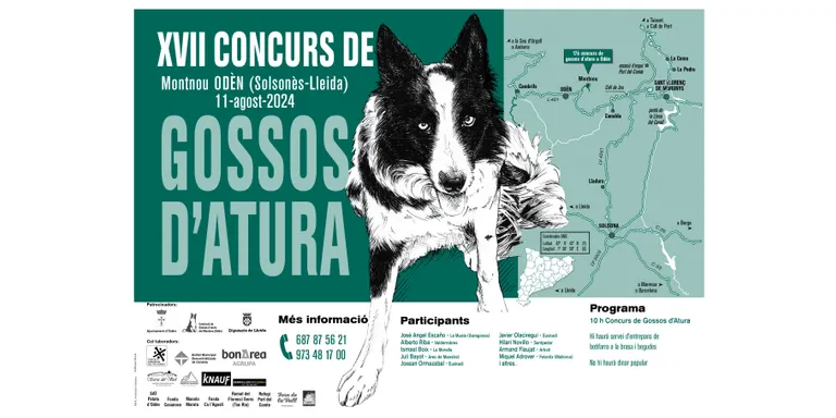 Una desena de pastors d'arreu de l'Estat espanyol competiran aquest diumenge al Concurs de gossos d'atura del Montnou, a Odèn