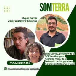 #270 - Som Terra amb Pili Garcia del 19/11/2024 - episode art