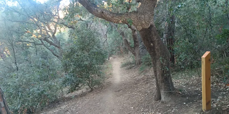 Dues rutes per l'entorn de la Riera de Pineda per ajudar a la la salut mental