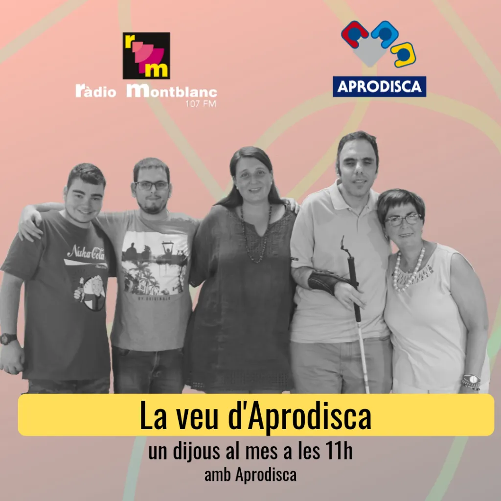 Moment del ple d'ahir