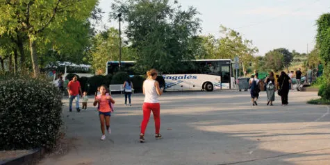 El Consell Comarcal presenta una aplicació per seguir les rutes del Transport Escolar