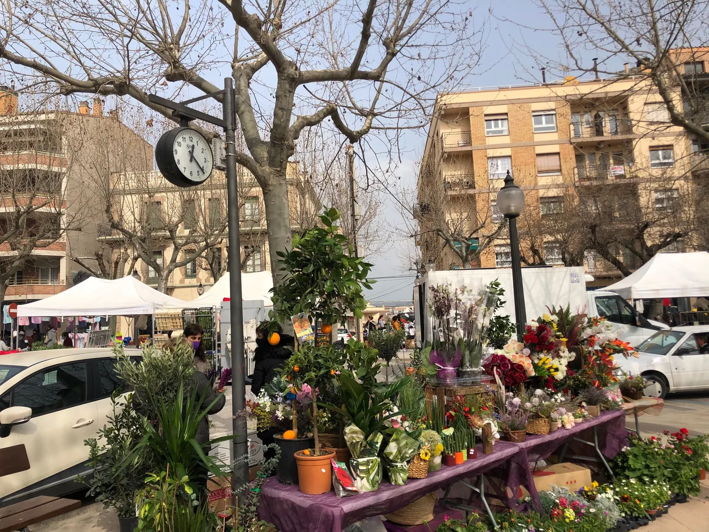 Solsona posa en marxa una nova campanya de promoció del comerç local i el mercat