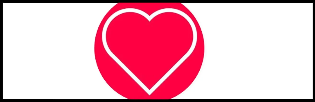 5 latidos del 31/10/2019