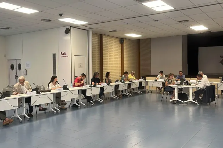Plens Municipals