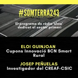 #35 - Som Terra amb Pili Garcia del 15/6/2020 - episode art