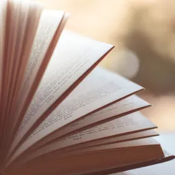 Contes en cinc minuts - episode art
