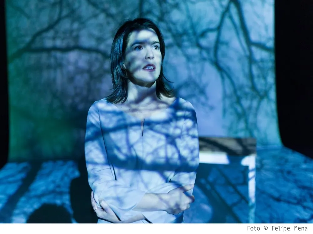 Laia Marull en una imatge promocional de l'espectacle (foto: Felipe Mena)