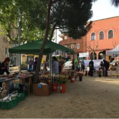 Activitats de Sant Jordi 21