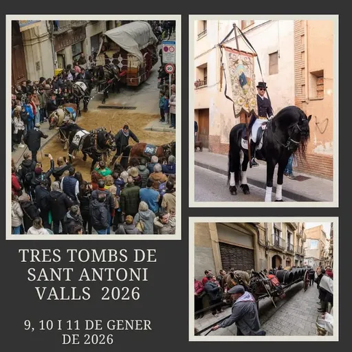 El món dels traginers del 4/12/2025