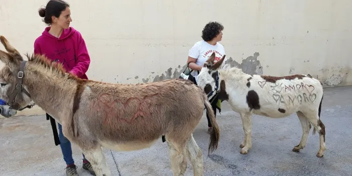L'Unicorn organtiza una jornada de portes obertes el diumenge